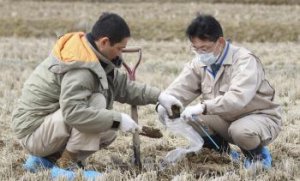 Japonsko: 60 kilometrov od Fukušimy namerali vysokú rádioaktivitu