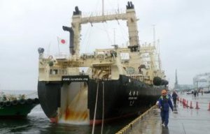Japonsko: Do zničeného prístavu priplávala prvá zahraničná loď