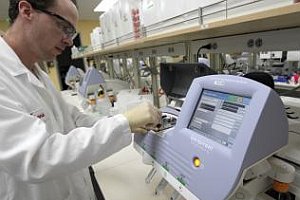Epidémia E. coli Nemecku sa definitívne skončila
