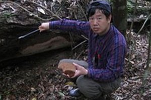 V Číne objavili najväčšiu hubu na svete. Plodnica váži takmer pol tony