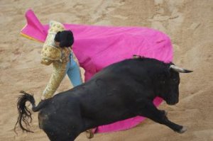 Španielska vláda oficiálne vyhlásila býčie zápasy za umenie