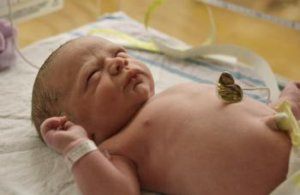Vedci: O budúcej profesii dieťaťa sa rozhoduje už v maternici