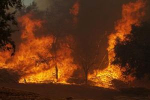 Texas sužujú požiare, plamene zničili takmer 500 domov
