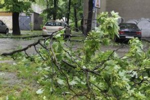 V nedeľu hrozí na západe Slovenska silný vietor