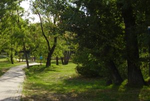 Košice: V lesoparku našli ľudskú lebku